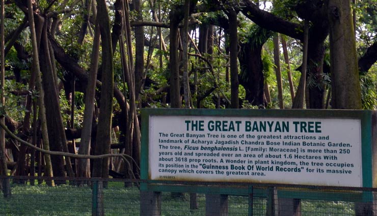 botanical gardens,botanical gardens india,indian botanic garden kolkata,botanical garden saharanpur,lalbagh botanical garden bangalore,government botanical gardens ooty,tropical botanic garden trivandrum,travel,travel tips,holidays