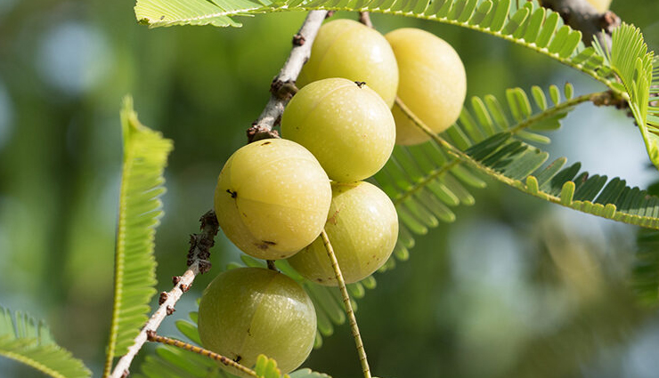 muscle weakness home remedies,treating weak muscles at home,natural remedies for muscle weakness,home treatments for muscle weakness,muscle weakness relief remedies,strengthening weak muscles at home,ways to improve muscle weakness naturally,home-based remedies for weak muscles,muscle weakness remedies you can try at home,diy muscle weakness treatments at home