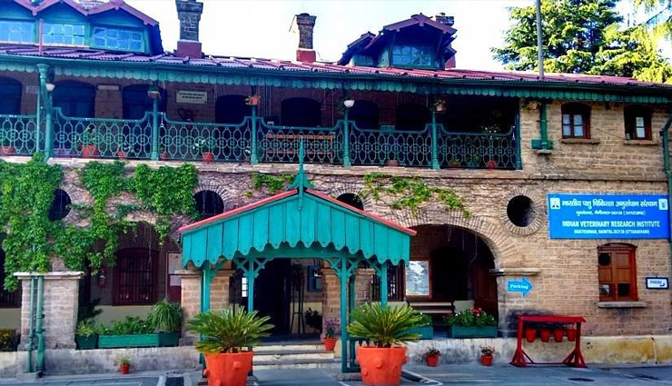 mukteshwar tourist attractions,top places to visit in mukteshwar,mukteshwar sightseeing spots,things to do in mukteshwar,mukteshwar weekend trip ideas,best destinations in mukteshwar,mukteshwar travel guide,mukteshwar must-visit places,mukteshwar adventure activities,mukteshwar scenic spots,mukteshwar family trip locations,mukteshwar temples and shrines,mukteshwar nature spots,mukteshwar trekking routes,mukteshwar hidden gems,mukteshwar waterfall visits,mukteshwar heritage sites,mukteshwar outdoor activities,mukteshwar for history lovers,mukteshwar shopping destinations