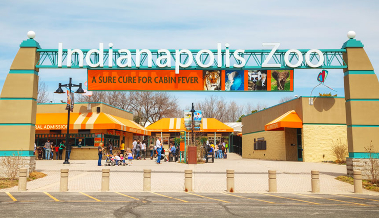 dolphin aquariums,zoos with dolphins,aquariums featuring dolphins,dolphin exhibits in zoos,best dolphin aquariums,top zoos for dolphin encounters,dolphin shows at aquariums,family-friendly dolphin attractions,where to see dolphins in aquariums,educational dolphin encounters in zoos,dolphin experiences for visitors,dolphin habitats in aquariums,zoological parks with dolphins,interactive dolphin tours,dolphin conservation in aquariums,close encounters with dolphins,popular zoos with dolphin shows,aquariums and zoos for dolphin lovers,dolphin-themed attractions,dolphin conservation efforts in zoos