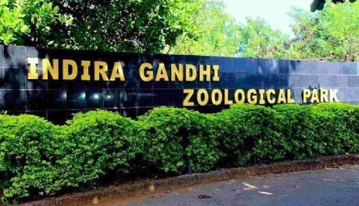 must visit places in vizag,top attractions in vizag,yarada beach vizag,katiki waterfalls vizag,kailasagiri hill station vizag,borra caves vizag,submarine museum vizag,simhachalam temple vizag,araku valley vizag,tu 142 aircraft museum vizag,indira gandhi zoological park vizag,best tourist spots in vizag,vizag travel guide,vizag sightseeing,vizag vacation ideas,natural beauty vizag,historical places in vizag,vizag cultural heritage,beaches in vizag,vizag waterfalls,adventure activities in vizag,family-friendly places in vizag,vizag trekking spots,vizag religious sites,museums in vizag,vizag hill stations,wildlife parks in vizag,vizag tourism,scenic spots in vizag,best places to visit in visakhapatnam