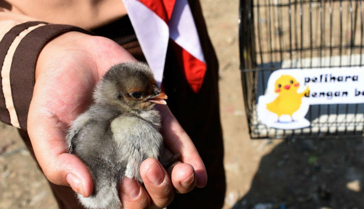 बच्चो को स्मार्टफोन और टीवी से दूर रखने के लिए प्रशासन ने निकाला अनोखा तरीका, माता-पिता हुए खुश weird news in hindi,indonesia,children,tv,smartphones