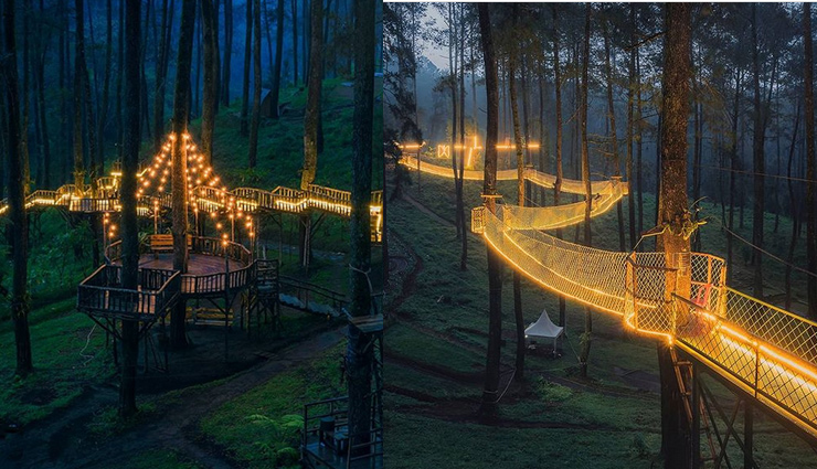 पेड़ों के ऊपर बने इस जगमगाते पुल की खूबसूरती दिल जीत लेगी आपका, देखे तस्वीरें