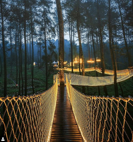 forest,lights,indonesia,magical bridge,weird news
