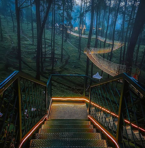 forest,lights,indonesia,magical bridge,weird news