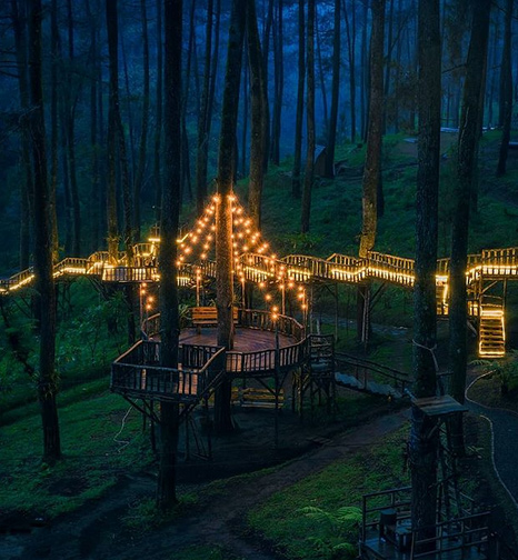 forest,lights,indonesia,magical bridge,weird news