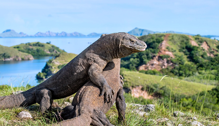 indonesia,places to visit in indonesia,kelimutu lake,nusa tenggara timur,mount bromo,east java,torajaland,south sulawesi,komodo island,borobudur,lake toba