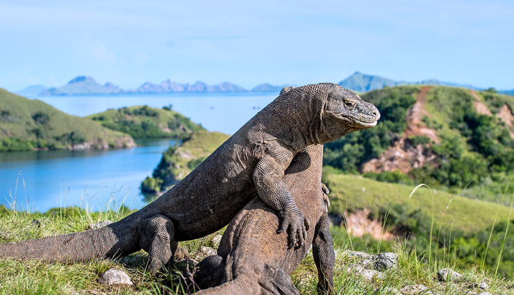 indonesia,tourist attraction in indonesia,places to visit in indonesia,kelimutu lake,nusa tenggara timur,mount bromo,east java,torajaland,south sulawesi,komodo island,borobudur,lake toba