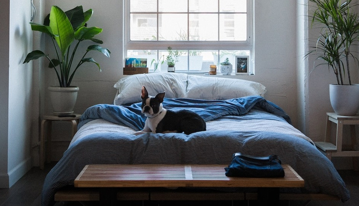 lungs,lungs healthy,things to do keep lungs healthy,lungs care tips,Health,Health tips