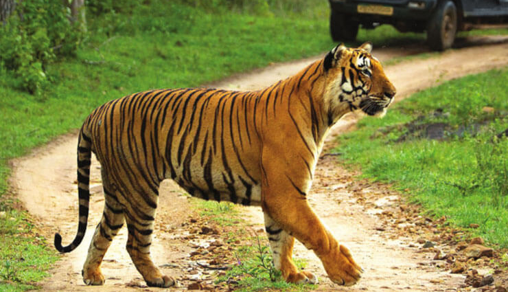 देश के सबसे खूबसूरत प्रदेशों में शामिल होता है छत्तीसगढ़, धरती का स्वर्ग कहलाता है चित्रकोट chhattisgarh tourist places,best places to visit in chhattisgarh,top attractions in chhattisgarh,explore chhattisgarh: must-visit tourist spots,chhattisgarh tourism: popular destinations,discover the beauty of chhattisgarh,hidden gems of chhattisgarh,chhattisgarh travel guide: tourist attractions,unveiling the wonders of chhattisgarh,chhattisgarh sightseeing: must-see places