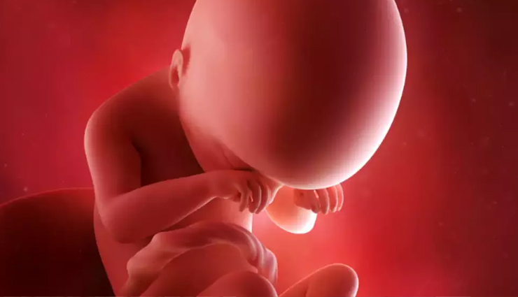 nutritional benefits of fava beans,fava beans nutrition facts,health benefits of fava beans,fava beans and their nutrients,fava beans dietary advantages,protein and fiber in fava beans,fava beans as a protein source,dietary fiber in fava beans,protein-rich fava beans benefits,fava beans for digestive health,fava beans for heart health,fava beans and heart health,cardiovascular benefits of fava beans,fava beans and cholesterol levels,heart-healthy nutrients in fava beans,fava beans for blood sugar control,fava beans and blood sugar,managing diabetes with fava beans,fava beans and glycemic control,fava beans in a diabetic diet,fava beans for bone health,fava beans and bone density,nutrients for strong bones in fava beans,fava beans and osteoporosis prevention,calcium and phosphorus in fava beans,antioxidant properties of fava beans,antioxidants in fava beans,fava beans and free radicals,fava beans for skin health,antioxidant-rich foods: fava beans