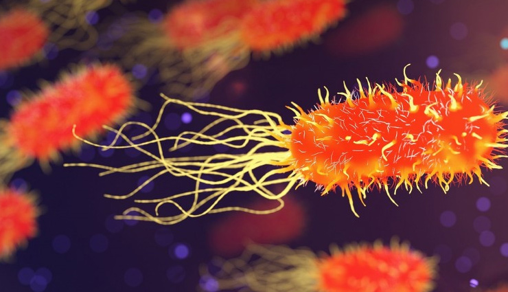 lungs,strengthen your lungs,ways to strengthen your lungs,lungs infection,healthy lungs,dont smoke,exercise for lungs,breathe,avoid pollution,breathe deeply,health news,Health tips