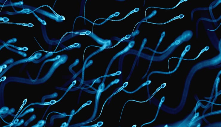 Health tips,health tips in hindi,fertility,fertility problem,research result on fertility