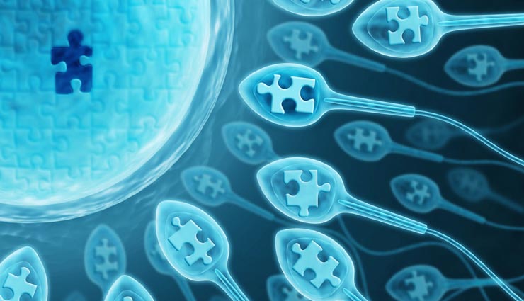 इंफर्टिलिटी की समस्या दूर करेगा फिश ऑइल, स्पर्म काउंट काउंट पर पड़ेगा प्रभाव!