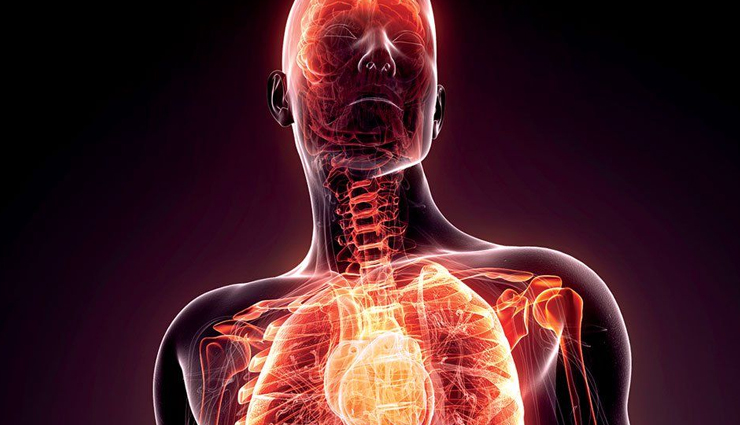 lupus diet,chronic autoimmune disease,managing lupus symptoms,anti-inflammatory foods,immune support,heart health and lupus,gut microbiome and lupus,weight management in lupus,bone health and lupus,energy levels and lupus,mental well-being in lupus,nutrient-rich foods,omega-3 fatty acids,probiotics and gut health,balanced diet for lupus