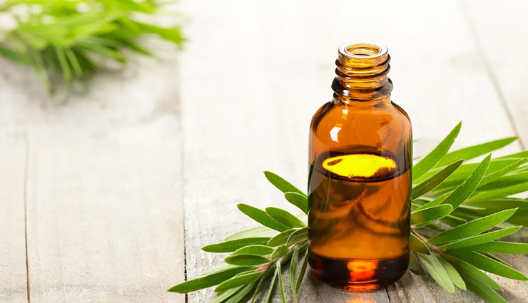 home remedies for insect bite,insect bite,Health tips,fitness tips