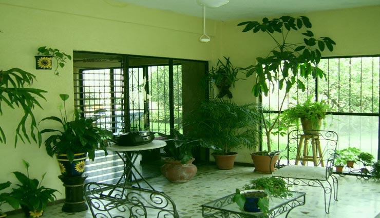 home tips,household tips,interior decoration tips,indoor plants tips,home decoration tips