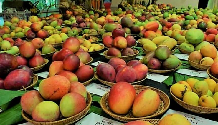 summer festivals in india,indian summer festivals,best summer festivals in india,top summer festivals to attend in india,must-attend summer festivals in india,indian festivals to enjoy in summer,cultural summer festivals in india,summer music festivals in india,religious summer festivals in india,summer festivals celebrated in india