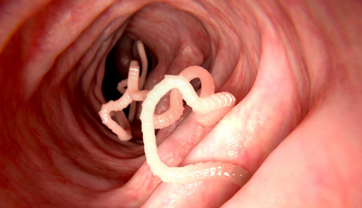 star anise,health benefits of star anise,amazing health benefits of star anise,star anise health benefits,Health,Health tips,health benefits