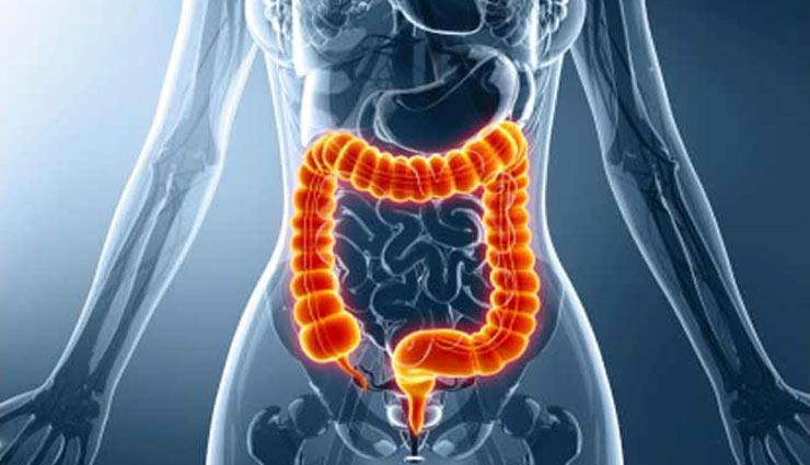 आंत के कीड़े पैदा करते है पेट से जुड़ी समस्याएँ, ये 5 आयुर्वेदिक औषधियां दिलाएगी आपको राहत 