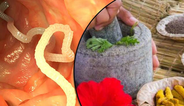 worms,stomach,intestines,home remedies,stomach pain,stomach problem,ayurveda medicine,intestinal worms,Health,health tips in hindi