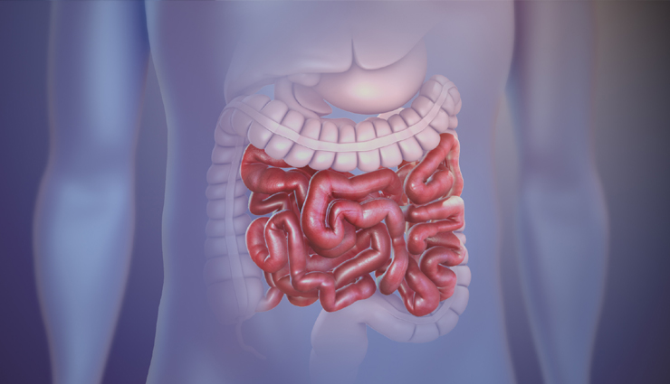 health benefit for red wine,Health tips,healthy living,health news,health news in hindi