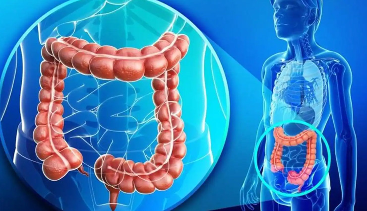 flax seed side effects,risks of consuming flax seeds,potential side effects of flax seeds,negative effects of flax seed consumption,flax seed drawbacks,adverse reactions to flax seeds,risks and complications of flax seed intake,possible side effects of eating flax seeds,flax seed disadvantages,health risks of flax seed consumption