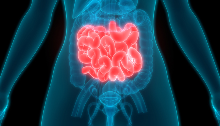 alsi seeds benefits,flaxseeds side effects,health benefits of flaxseed,pros and cons of eating alsi,alsi seeds advantages,risks of consuming flaxseeds,nutritional benefits of alsi,flaxseed precautions,alsi seeds for health,potential side effects of flaxseed consumption