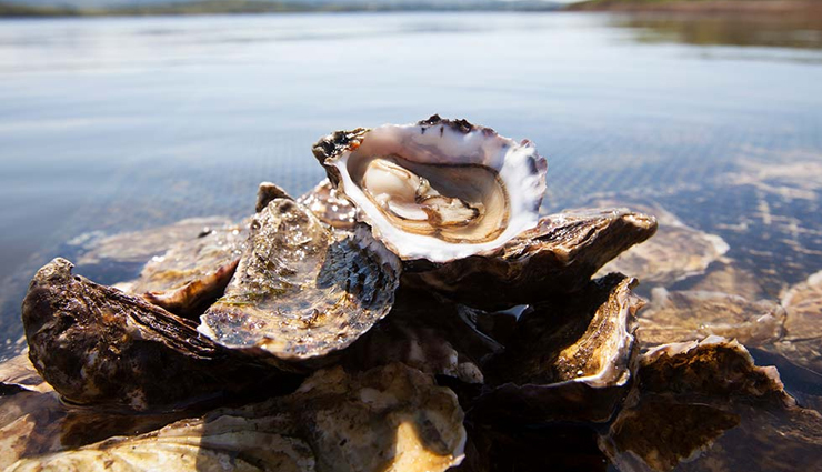 traditional dishes of ireland,ireland,soda bread,irish stew,irish oysters,boiled bacon and cabbage,colcannon and champ