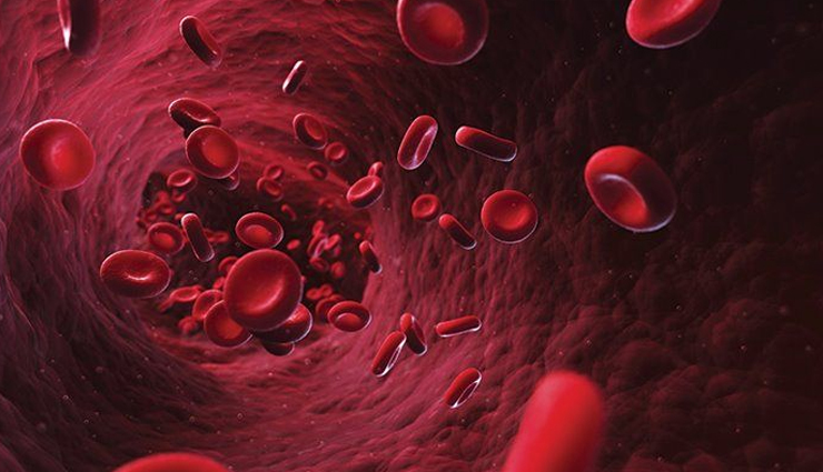 nutritional benefits of fava beans,fava beans nutrition facts,health benefits of fava beans,fava beans and their nutrients,fava beans dietary advantages,protein and fiber in fava beans,fava beans as a protein source,dietary fiber in fava beans,protein-rich fava beans benefits,fava beans for digestive health,fava beans for heart health,fava beans and heart health,cardiovascular benefits of fava beans,fava beans and cholesterol levels,heart-healthy nutrients in fava beans,fava beans for blood sugar control,fava beans and blood sugar,managing diabetes with fava beans,fava beans and glycemic control,fava beans in a diabetic diet,fava beans for bone health,fava beans and bone density,nutrients for strong bones in fava beans,fava beans and osteoporosis prevention,calcium and phosphorus in fava beans,antioxidant properties of fava beans,antioxidants in fava beans,fava beans and free radicals,fava beans for skin health,antioxidant-rich foods: fava beans