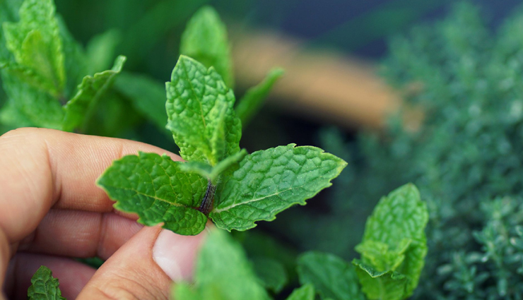 irritable bowel syndrome,home remedies for irritable bowel syndrome,Health tips,fitness tips,home remedies