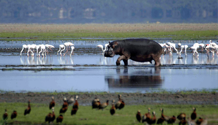 south africa,destinations in south africa,least known destinations south africa,stellenbosch,blyde river canyon,addo elephant national park,robben island,drakensberg,kgalagadi transfrontier park,isimangaliso wetland park,the garden route,hermanus,the golden mile,travel,holidays