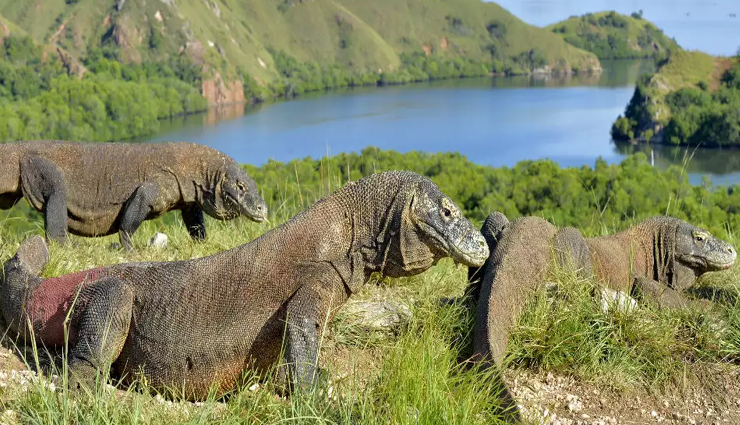 belitung,lombok,gili islands,flores,komodo island,padar,bali,nusa islands,mentawai islands,weh island,bintan island,island,islands in indonesia,indonesia