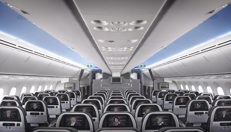 weird news,tisha rowe,american airlines,woman dress,flight attendant