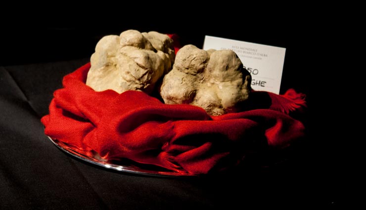 expensive food around the world,most expensive food,food,food around the world,italian white alba truffle,civet coffee,saffron,matsutake mushrooms,lobster frittata