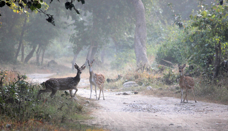 visit these best places of itanagar,itanagar tourism,arunachal pradesh,tourism,itanagar tourism,holidays,travel,major attractions of itanagar