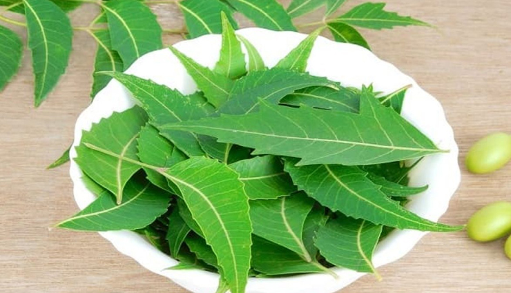 itching on the head,scalp itching remedies,relief from scalp itching,itchy scalp solutions,causes of scalp itching,home remedies for scalp itching,natural remedies for itchy scalp,best treatments for itchy scalp,effective remedies for scalp itching,scalp itching relief tips,सिर पर खुजली के घरेलू उपाय (sir par khujli ke gharelu upay),सौंदर्य टिप्स और हैक्स (saundarya tips aur hacks),खुजली से राहत के टिप्स (khujli se raahat ke tips),खुजली से बचाव के नुस्खे (khujli se bachaav ke nuskhe),स्कैल्प खुजली के लिए टिप्स (scalp khujli ke liye tips),प्राकृतिक सौंदर्य हैक्स (prakritik saundarya hacks),खुजली के घरेलू उपाय (khujli ke gharelu upay),सिर की खुजली का इलाज (sir ki khujli ka ilaaj),सौंदर्य हैक्स स्केल्प खुजली के लिए (saundarya hacks scalp khujli ke liye),खुजली के लिए घरेलू उपचार (khujli ke liye gharelu upchaar)