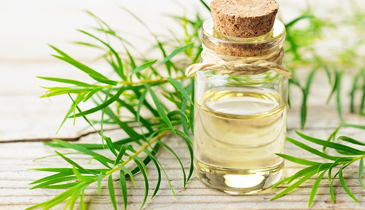 essential oil,Lemon,apple cider vinegar,aloe vera,tea tree oil,home remedies,home remedies to treat itchy scalp,itchy scalp,hair care tips,beauty tips,skin care tips,summer hair care tips