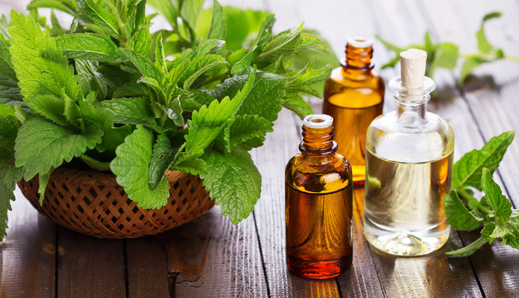 coconut oil,tea tree oil,apple cider vinegar,aloe vera,peppermint oil,onion juice,natural remedies,natural remedies for itchy scalp,monsoon beauty tips,beauty tips,hair care tips