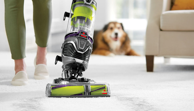 salt,apple cider vinegar,vacuum,dry the bedding,yogurt,dog itchy skin,natural ways to treat dog itchy skin,dog care tips,household tips