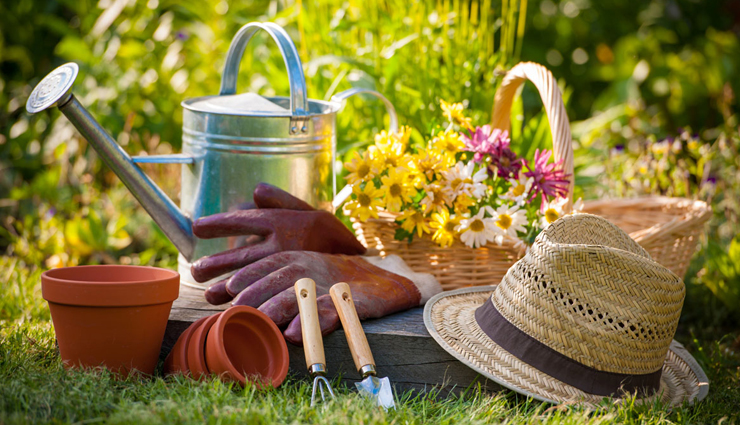 gardening tips,5 tips to take care of your garden,cleaning tips of garden,taking care of plants