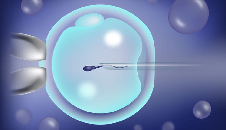 IVF Costs Unveiled: A Comprehensive Guide to Understanding Pricing in Dubai