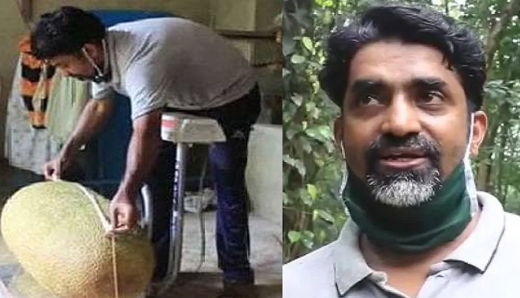 केरल / किसान ने उगाया 51 किलो वजनी कटहल, गिनीज बुक में नाम दर्ज कराने की तैयारी kerala jackfruit,kerala,jackfruit rate,jackfruit,farmer,coronavirus,lockdown,weird news