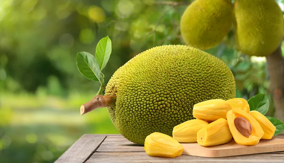 10 Most Amazing Health Benefits of Jackfruit