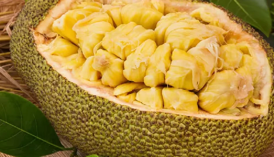 प्रोटीन और विटामिन्स का खजाना, जानिए कटहल खाने के 5 आश्चर्यजनक फायदे