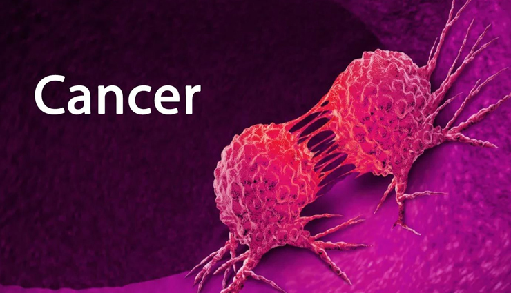 health benefits of jackfruit,jackfruit,Health tips,fitness tips