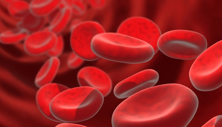 jackfruit,health benefits of jackfruit,Health tips,fitness tips