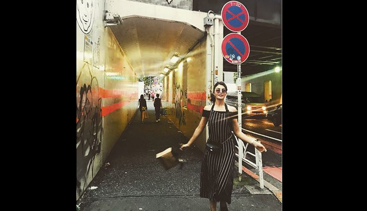 jacqueline fernandez,jacqueline fernande birthday,bollywood,bollywood actress,bollywood news,entertainment news