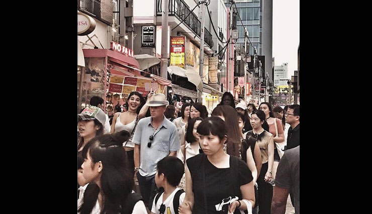 jacqueline fernandez,jacqueline fernande birthday,bollywood,bollywood actress,bollywood news,entertainment news