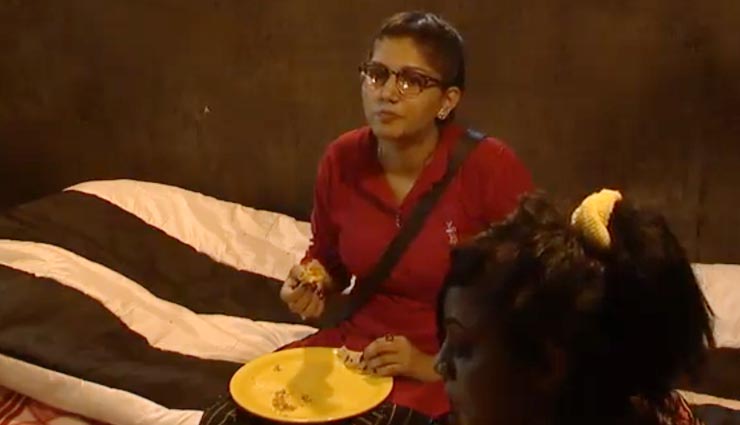 bigg boss 11,Salman Khan,hina khan,arshi khan,sapna chodhary,jail,bigg boss news